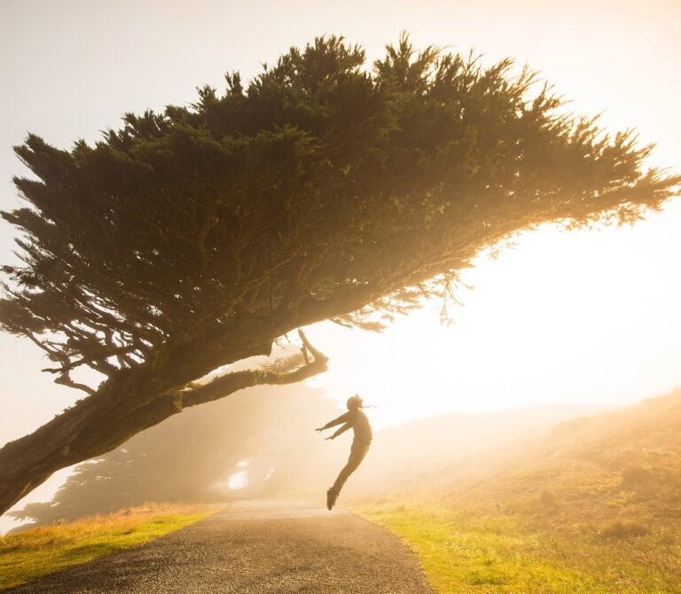 A lone figure walking up a steep misty path at sunrise.